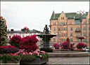 Cities_Tampere_Flofers.jpg